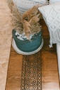 DSCF3259.webp