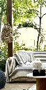 IMG_9199.webp