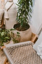Cone Jute Basket
