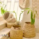 [b0002sj35x30] Cone Jute Basket (35 X 30 CM).webp