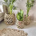 [2300010] Marjouna Halfa Mesh Yarn L.webp