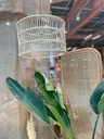 Bamboo Chapeau