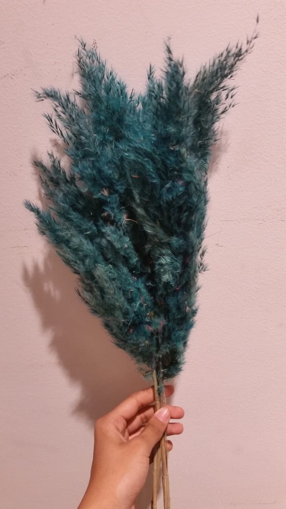 Dry Plants set of 5