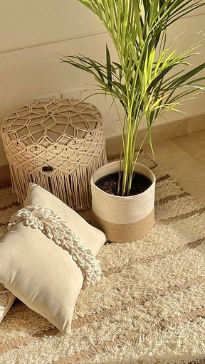 Cylinder Basket