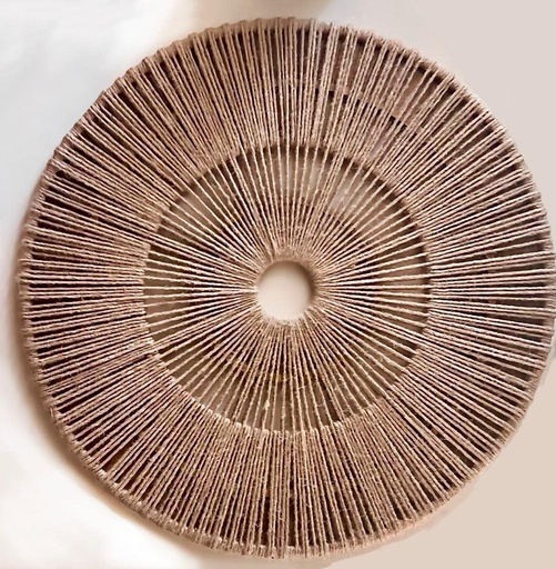Sunburst wall-plate