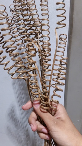 [pl000101] Dry Plants 2 set of 3